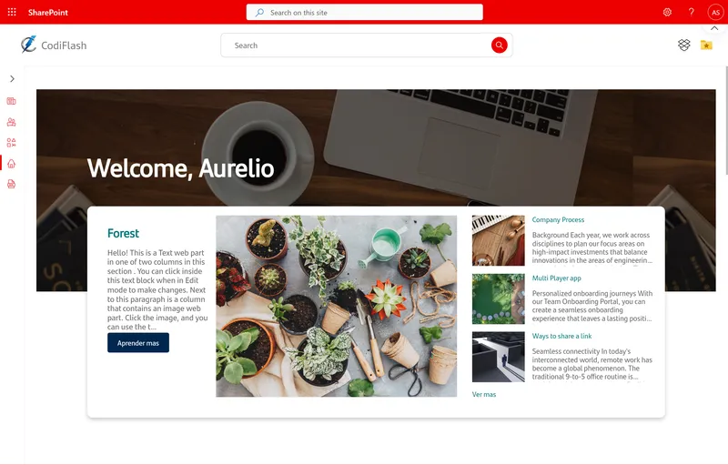 Corporate intranet example