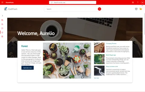 Custom SharePoint intranet screenshot