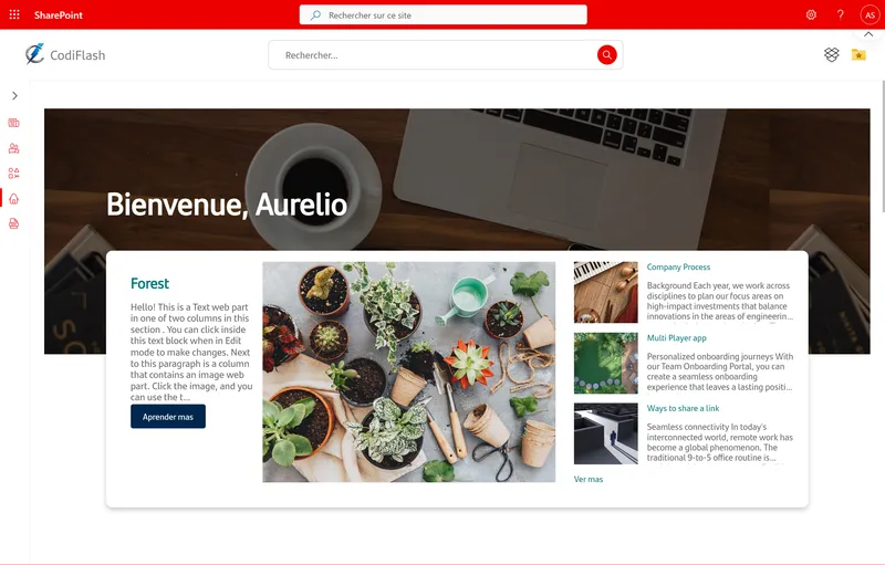 Types d'intranet d'entreprise