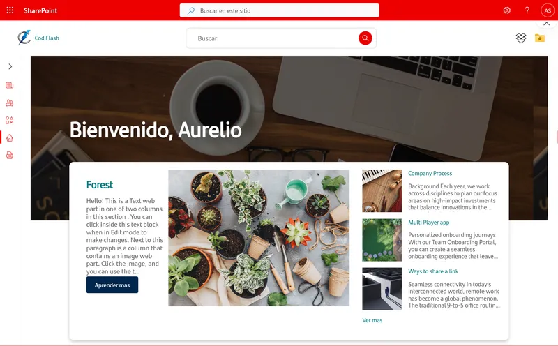 Tipos de intranet corporativa